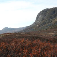 TIGEREKSPRESSEN I NORGE: Naturen er min meditasjon - meditativ speiling til fjells