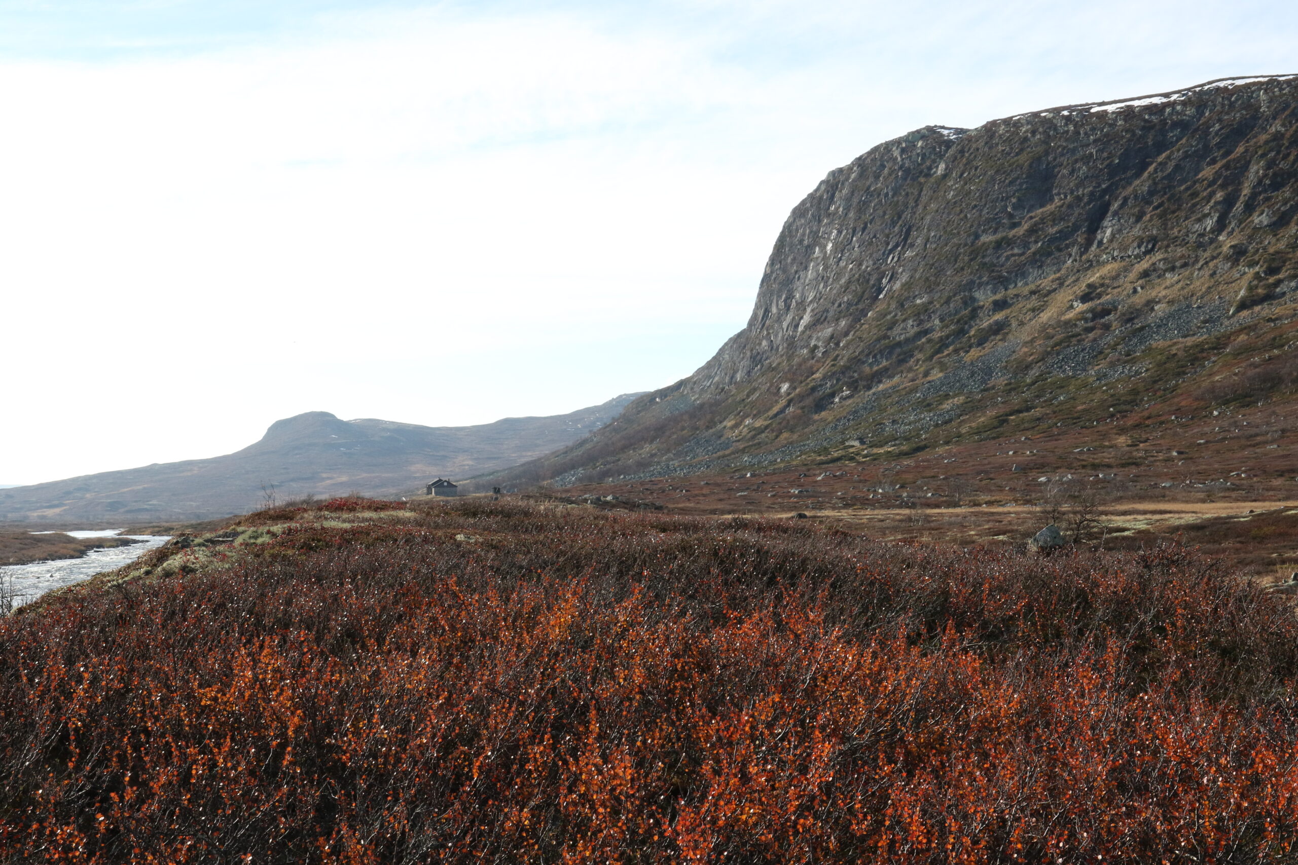 TIGEREKSPRESSEN I NORGE: Naturen er min meditasjon - meditativ speiling til fjells